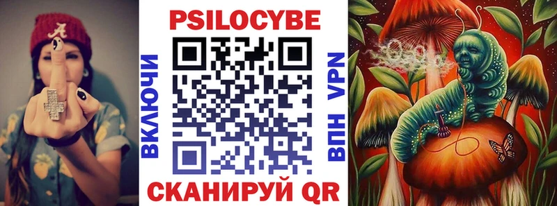 Купить где  Коркино  Псилоцибиновые грибы прущие грибы 